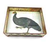 Bestiary-GuineaHen