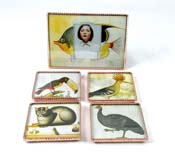 <em>Bestiary</em><br>Bestiary FishFrame & #0001