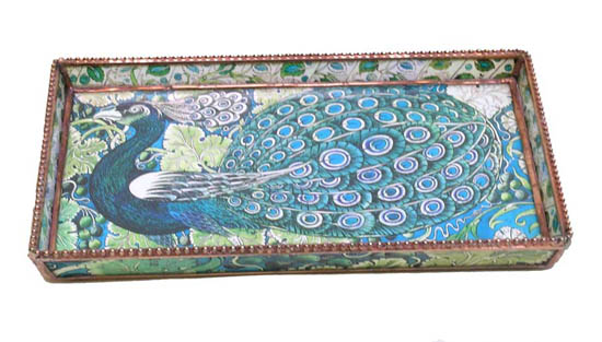 TrayPlate Peacock